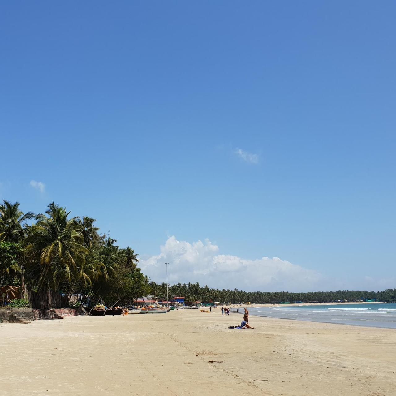 Palm Forest パロレム エクステリア 写真