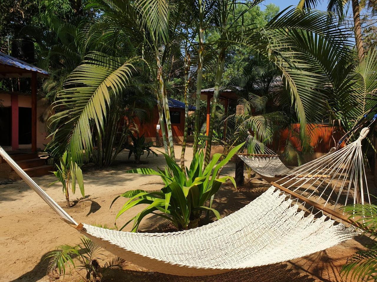 Palm Forest パロレム エクステリア 写真