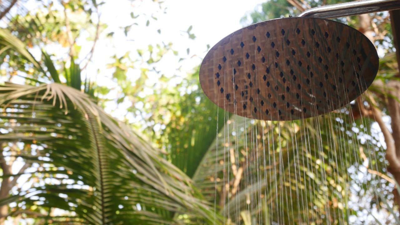 Palm Forest パロレム エクステリア 写真