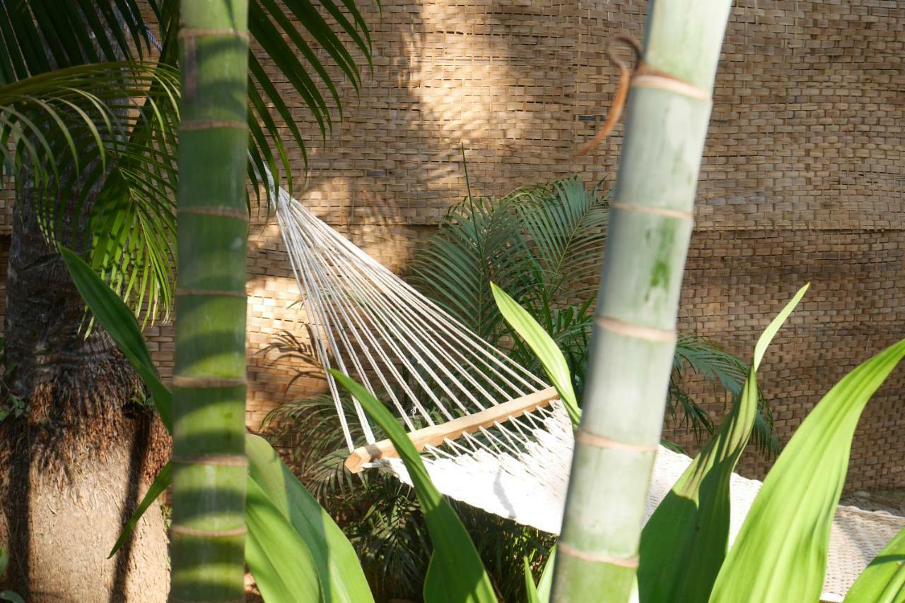 Palm Forest パロレム エクステリア 写真
